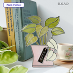Korean Glass Art Workshop | Partner Store
